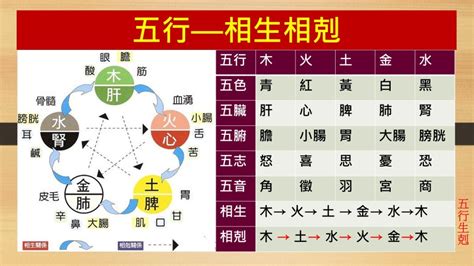 五行相生相剋關係|五行、木、火、土、金、水、五行相生相剋、五行相生。